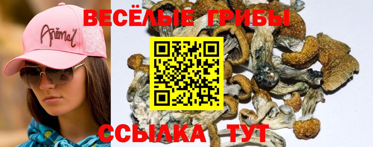 купить закладку  Вход с VPN  Анжеро-Судженск  Псилоцибиновые грибы мухоморы 